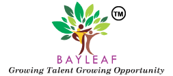 Bayleaf HR solutions